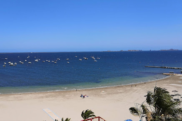 Residencial Rosa Morada 18